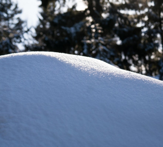 Почему не вывозят снег? 
